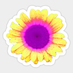 Hello Sunshine - Yellow Flower with Hot Pink Retro Vibe Sticker